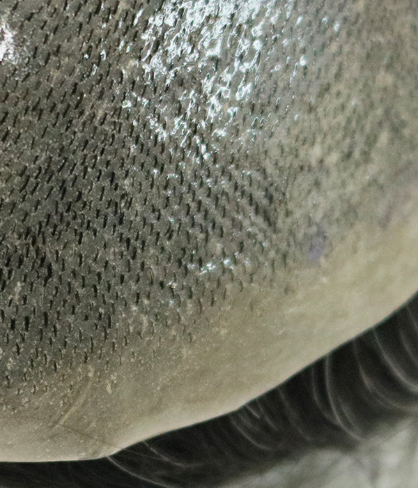 Skin (Knotted) - 8"*10" Thin Skin Men Hair System 0.10-0.12mm - Hormel Wigs